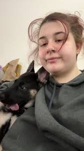 Missing Service Dog in Training in Wash. C.H, Fayette County Ohio