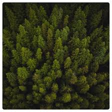 Contributions to the tribute of Dr. Walter A. Ostrowski