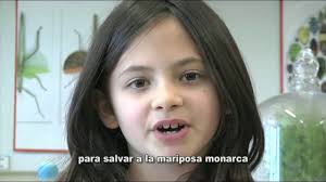 Escuelas hermanas de la mariposa monarca