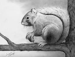 Image Result For Easy Pencil Drawings Of Animals For Beginners Pencil Drawings Of Animals Pencil Drawings Of Nature Animal Sketches It offers a closer look at drawing animal eyes and whiskers among other features of your feline friends. pencil drawings of nature animal sketches
