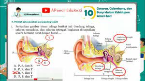 Soal ipa smp kelas 8 semester 2 dan kunci jawaban. Jawaban Soal Pilihan Ganda Uji Kompetensi Bab 10 Ipa Kelas 8 Sem 2 Hal 160 Youtube