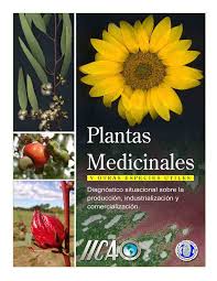 Plantas Medicinales Y Otras Especies Utiles Docsity
