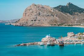 Image result for Salacia rhodesiaca