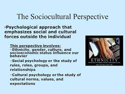 Sociocultural Perspective Definition Psychology Social Behavior Perspective Definition