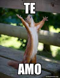 With tenor, maker of gif keyboard, add popular te amo animated gifs to your conversations. Te Amo Happy Squirrel Make A Meme