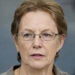 Surname Klink: Meaning Origin Variants