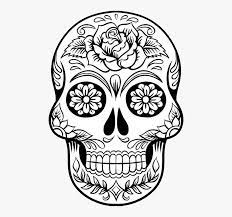 Color wonder mess free prehistoric pals dinosaur coloring pages & markers $ 9.99. Skull Png Printable Sugar Skull Colouring Pages Transparent Png Kindpng