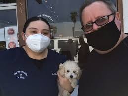 Whether you own a dog or a cat you want your pet to live free of disease and injury. The Pet Hospital Of La Mesa 5336 Jackson Dr La Mesa Ca Veterinarians Mapquest
