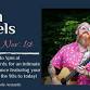 (11/1) Adam Daniels LIVE @ Treehouse Vineyards w event image