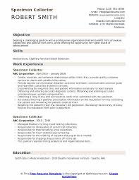Specimen Collector Resume Samples Qwikresume