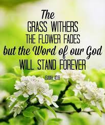 9 get yourself up on a high mountain, o zion, bearer of good news, lift up your voice mightily, o jerusalem, bearer of good news; The Living Isaiah 40 8 Nlt The Grass Withers And The