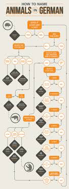 The Cute German Animal Names Flowchart Album On Imgur