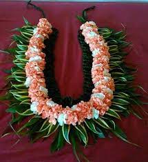 Carnation Lei Diy Macrame Plant Hanger Graduation Leis Leis