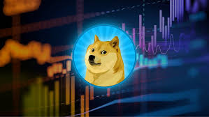 Dogecoin security
