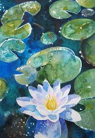 Water Lily Flower Art Lotus Art Art