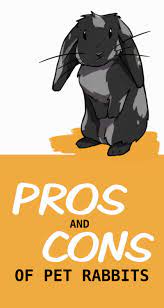 The Pros And Cons Of Having Rabbits As House Pets Pets Pet Bunny Indoor Rabbit