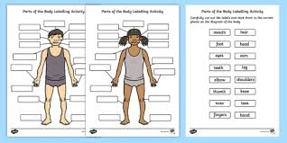 236x354 blank diagram skeleton human body label the blank worksheet. Male Female Body Diagram With Labels Body Parts Worksheet