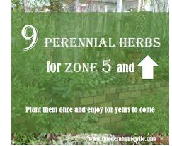 This vegetable garden design is suited for usda hardiness zones 5 and 6, but can be adapted for zones 4 and 7. 9 Perennial Herbs For Zones 5 And Higher Dengarden Home And Garden