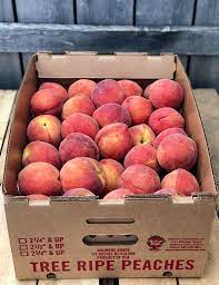 Half Bushel 25lbs Peaches Bauman Orchards