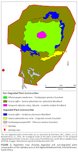 Image result for Diheteropogon amplectens