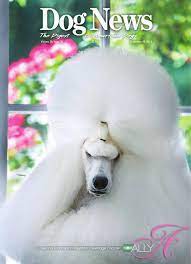 We did not find results for: Dog News September 20 2013 By Dog News Issuu