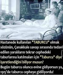 Sosyal Okuz Sosyalokuz Instagram Fotograflari Ve Videolari Biliyor Muydunuz Bilgi Alintilari Gercekler