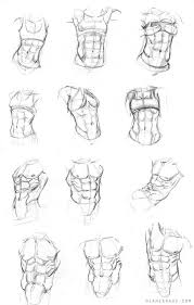 I'm robert marcelo, and i'll be your instructor for these lessons. Torso Studies By Banjodi Human Anatomy Art Art Reference Anatomy Art