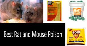 best rat and mouse poison updated 2020