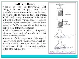 Check spelling or type a new query. Plant Tissue Culture Topics Covered In This Presentationhistory