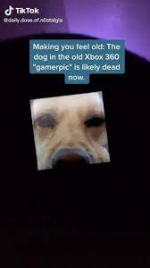 Rise up washed up gamers and relive the glory days by using your old xbox 360 gamerpic to play reach on steam holy sit i cant believe i just typed that. Daily Dose Of Noste Making You Feel Old The Dog In The Old Xbox 360 Gamerpic Is Likely Dead Now
