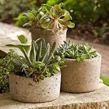 See more ideas about backyard, backyard landscaping, garden design. Gonna Do This Plants Succulents Hypertufa Planters