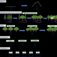 Below a description of a few typical and most widely used development components Pdf Deep Learning In Forestry Using Uav Acquired Rgb Data A Practical Review