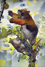 David attenborough termed his skills as rare and precious and among the world's best. Peter Schouten Wikipedia