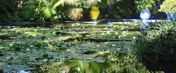 Entrance fees to majorelle garden and berber museum. 15 Best Day Trips From Marrakech 2021 Low Cost Day Tours Tripindicator