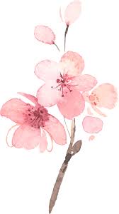 Cherry Blossom Pink Floral Wedding Reception Enclosure Card Zazzle Com Cherry Blossom Painting Cherry Blossom Watercolor Blossoms Art