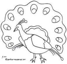 Gambar Mewarnai Burung Lovebird Education Pinterest Indonesia