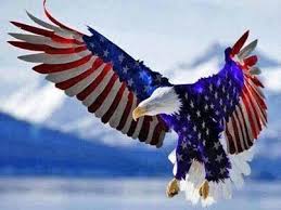 Stars And Stripes Eagle Bald Eagle American Flag Eagle Animals