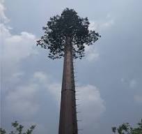[Hot Item] Artificial Plants Camouflaged Bionic Pine Tree Antennas WiFi  Radio Monopole Tower