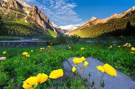 Mountain And Lake In Spring Wallpapers - Wallpaper Cave