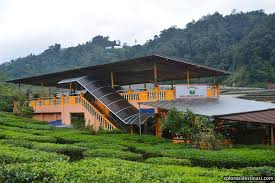 Vlog malaysia cameron valley vs ladang teh sungai palas cameron highlands malaysia the khainis. Cameron Tea Valley Jalan Jalan Sekitar Ladang Teh Dan Minum Teh Xplorasi Destinasi