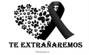 Por Medio Las Imagenes De Luto Puedes Expresar Sentimientos Como El Dolor La Resignacion Y El Sufrimie En 2020 Muerte De Un Perro Cuando Muere Un Perro Perder Un Perro