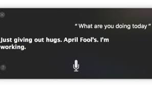 You can mention pets, where you live, what you do when you need inspiration, your favorite kind of shark.anything that warms up the intro. 95 Funny Siri Commands Downright Stupid Enough To Make You Laugh Osxdaily