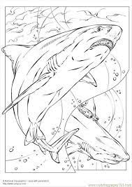 Pin By Tyson Lebold On Science Shark Coloring Pages Coloring Pages Animal Coloring Pages