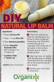 12 Top Essential Oils 60 Uses Organixx Diy Lip Balm Recipes Homemade Lip Balm Recipe Lip Balm Recipes