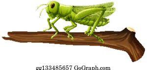 Get grasshopper pie recipe from food network. Grasshopper Isolated Cartoon Lizenzfrei Gograph