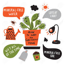 Venus Flytrap Infographic Diagram Data Manual