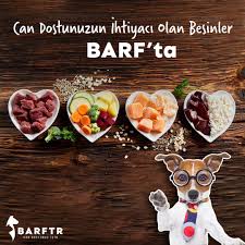 Dostunuzun Uzun Yillar Boyunca Saglikli Yasayabilmesi Icin Beslenme Sekli Oldukca Onemli Barf Ta Dostunuzun Ihtiyaci Olan Saglikl Dana Ciger Saglikli Beslenme