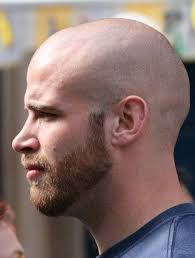 Short Beard Bald Guy Bald With Beard Bald Head With Beard Bald Men With Beards