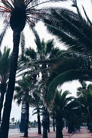 Check spelling or type a new query. Top 5 Reasons Why You Should Live In Barcelona