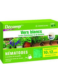 Epingle Sur Garden Soins